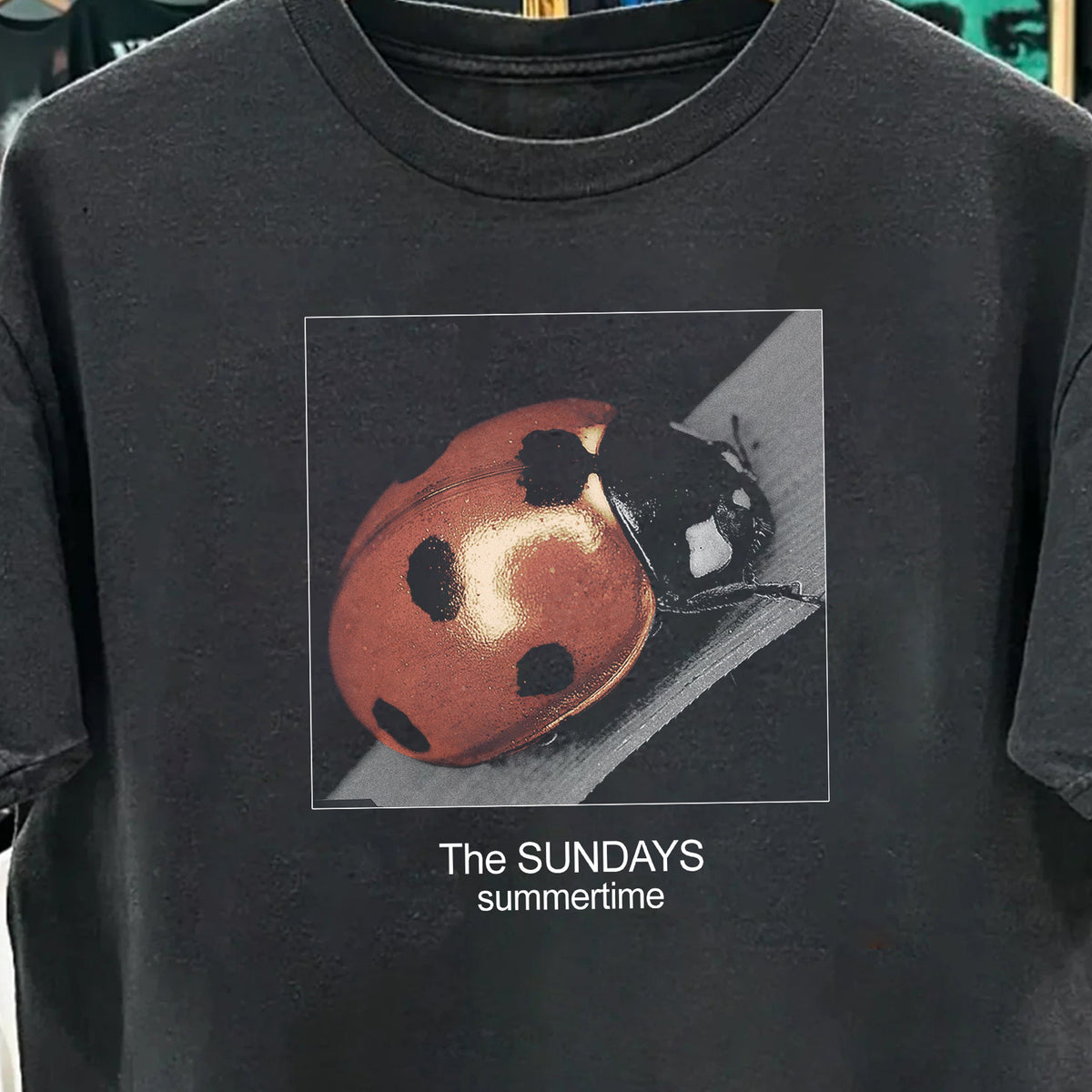 97 The Sundays Summertime Ladybug Washed Black T-Shirt